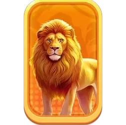 Lion
Safari